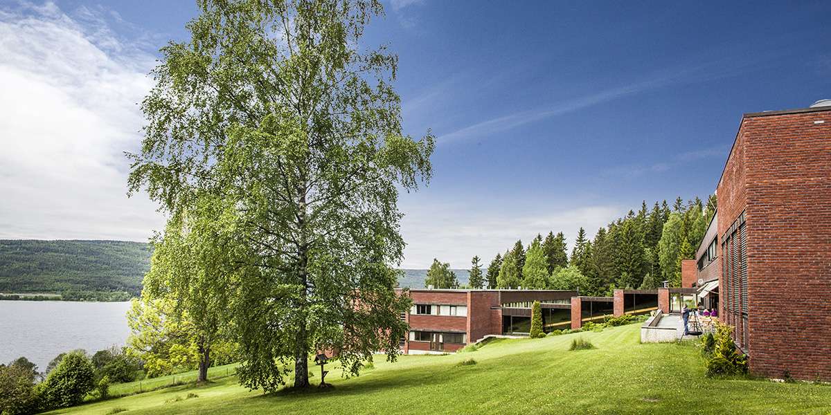 Vangseter